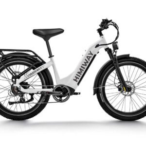 D5 ST(Zebra ST) / All-terrain Electric Fat Bike