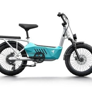 C3 / Cargo Ebike