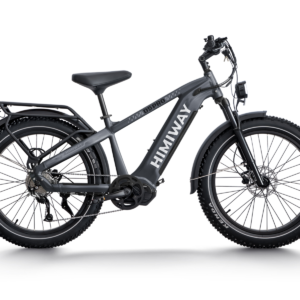 D5 Pro / All-terrain Electric Fat Bike