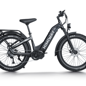 D5 Pro ST / All-terrain Electric Fat Bike