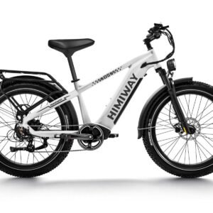 D5(Zebra) / All-terrain Electric Fat Bike